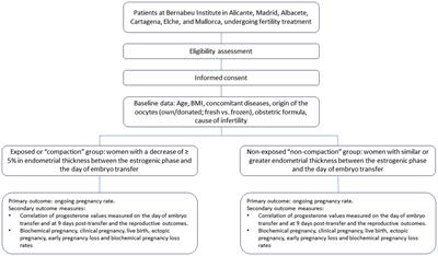 Impact of endometrial compaction on reproductive outcomes after cryotransfer of euploid embryos in a modified natural cycle: protocol for a prospective cohort study